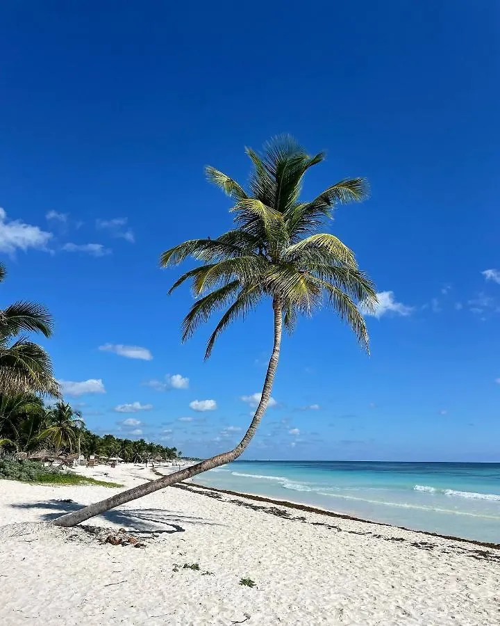 Chavez Eco Beach Camping And Cabanas Tulum