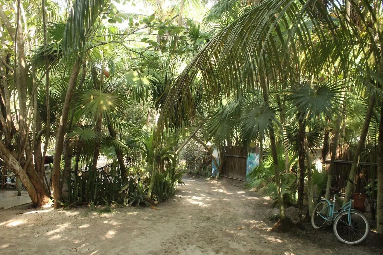 Kamp alanı Chavez Eco Beach Camping And Cabanas Tulum