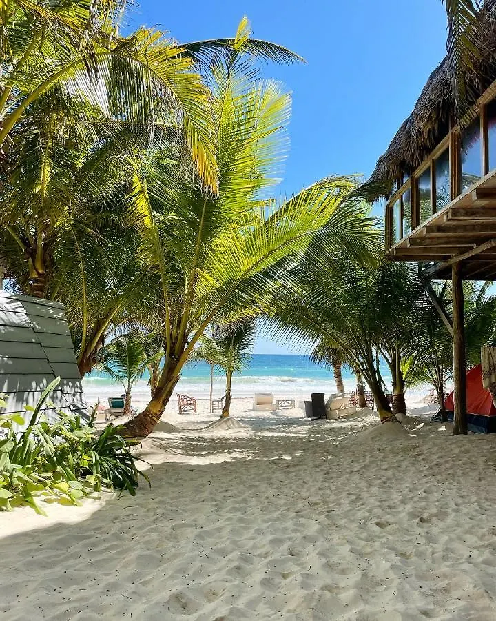 Chavez Eco Beach Camping And Cabanas contacts